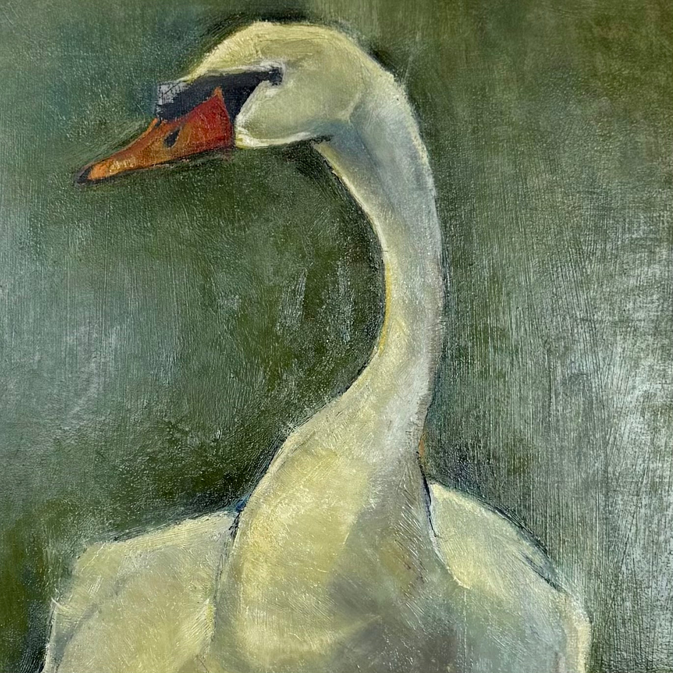 Swan