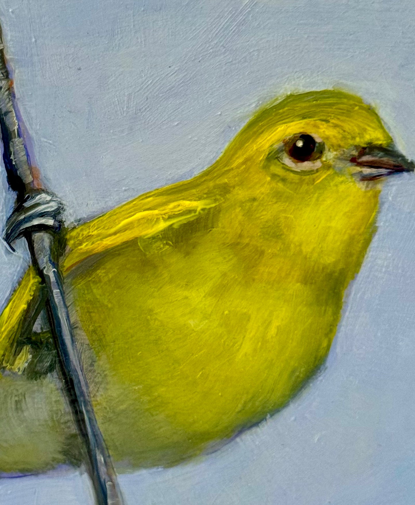 Watchful Warbler