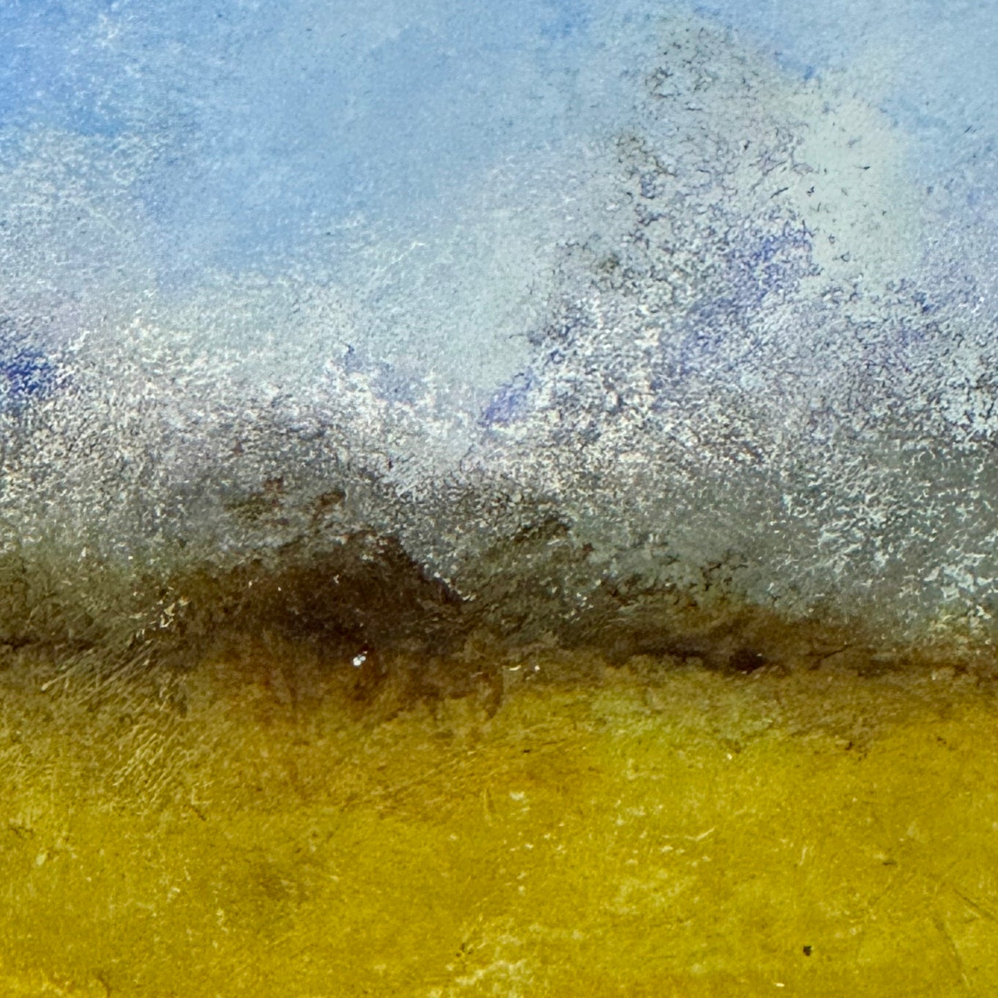 Summer Field