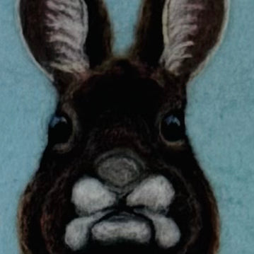 Brown Bunny