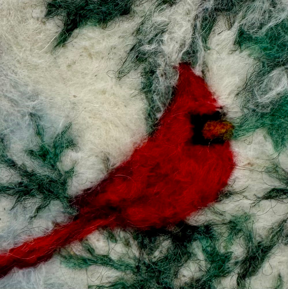 Perched Cardinal 3
