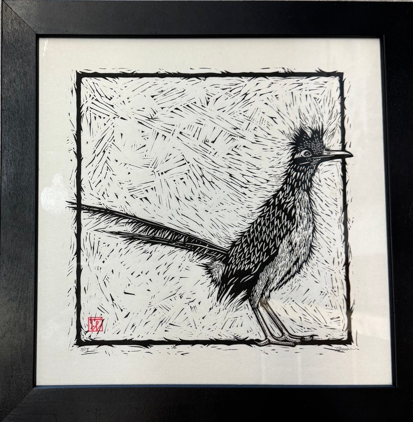 Roadrunner