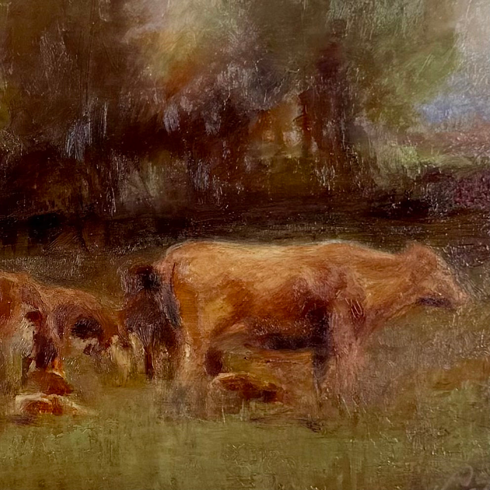 Moody Cattle