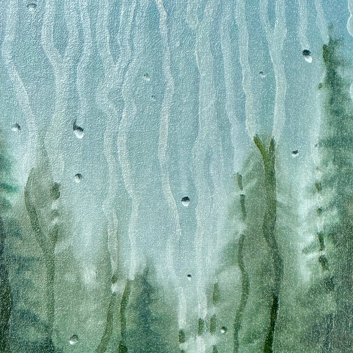 Veiled Pines