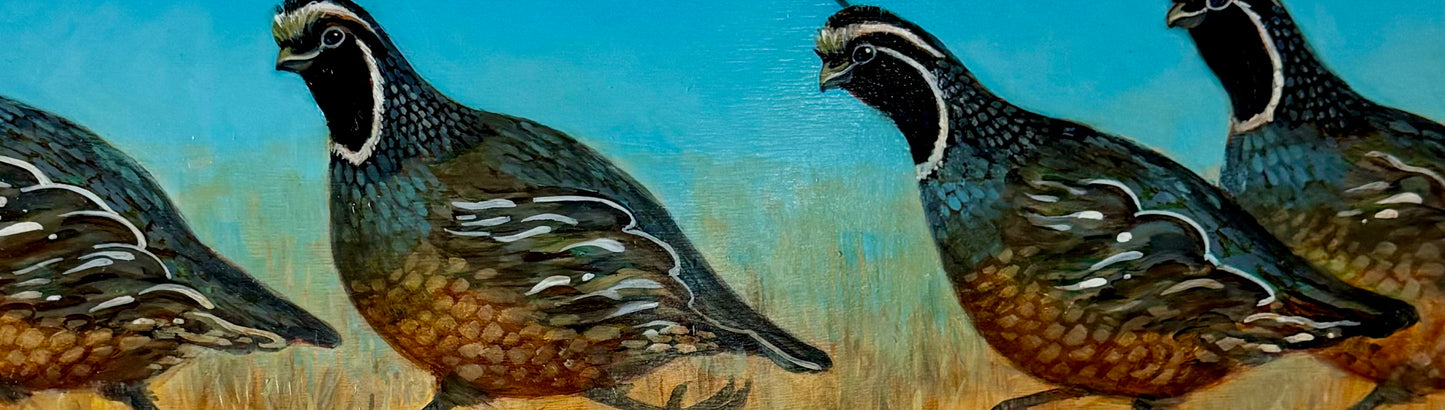 Afternoon Run (Quail)
