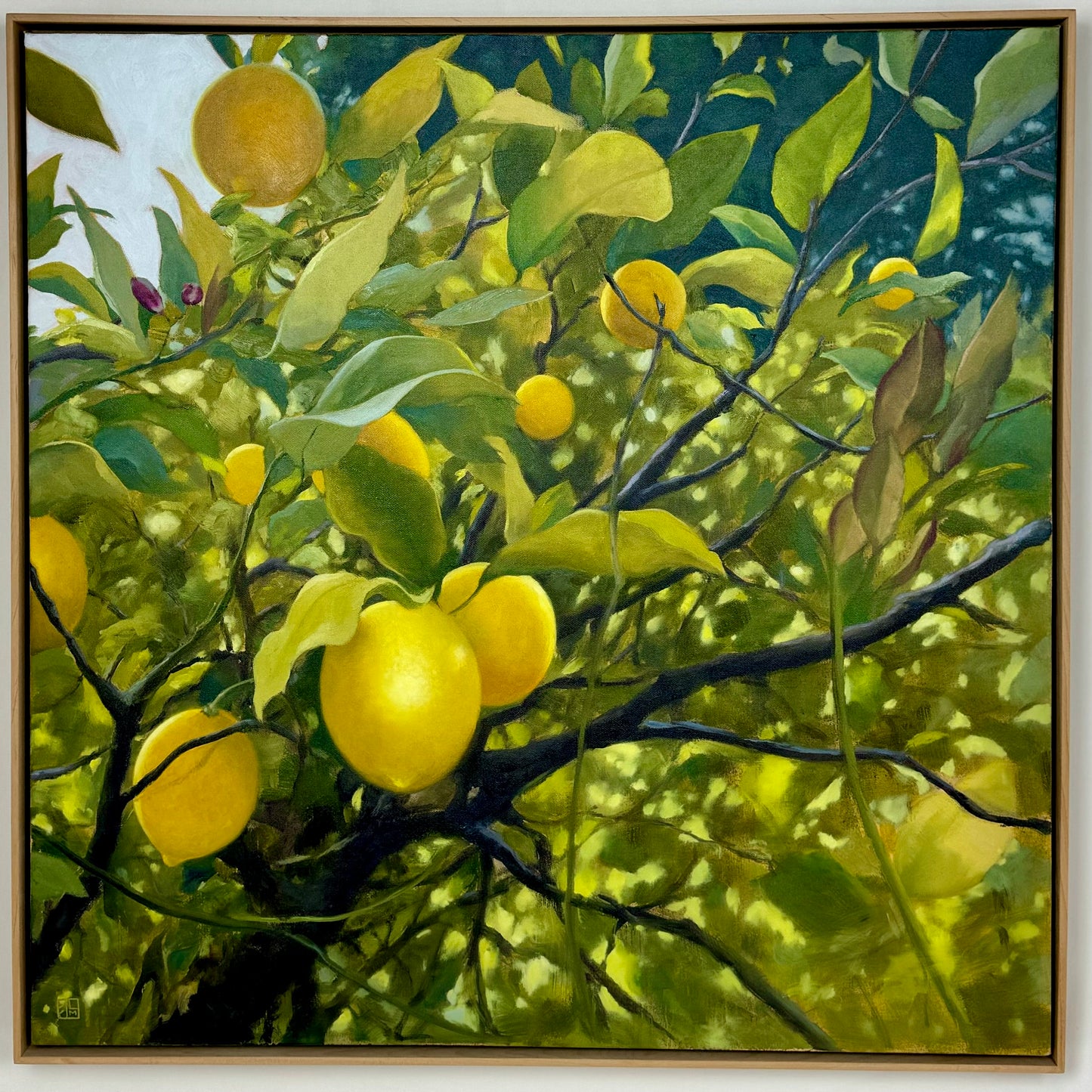 Meyer Lemons