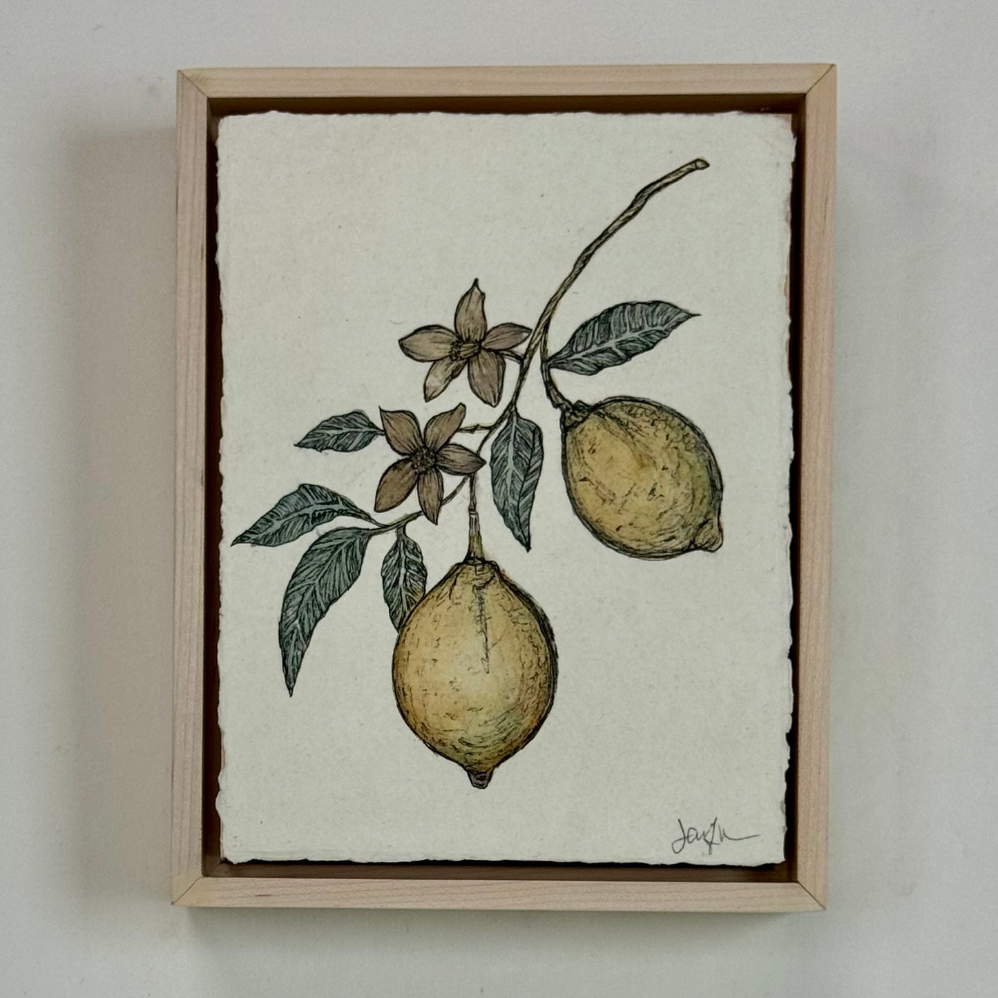 Vintage Lemon