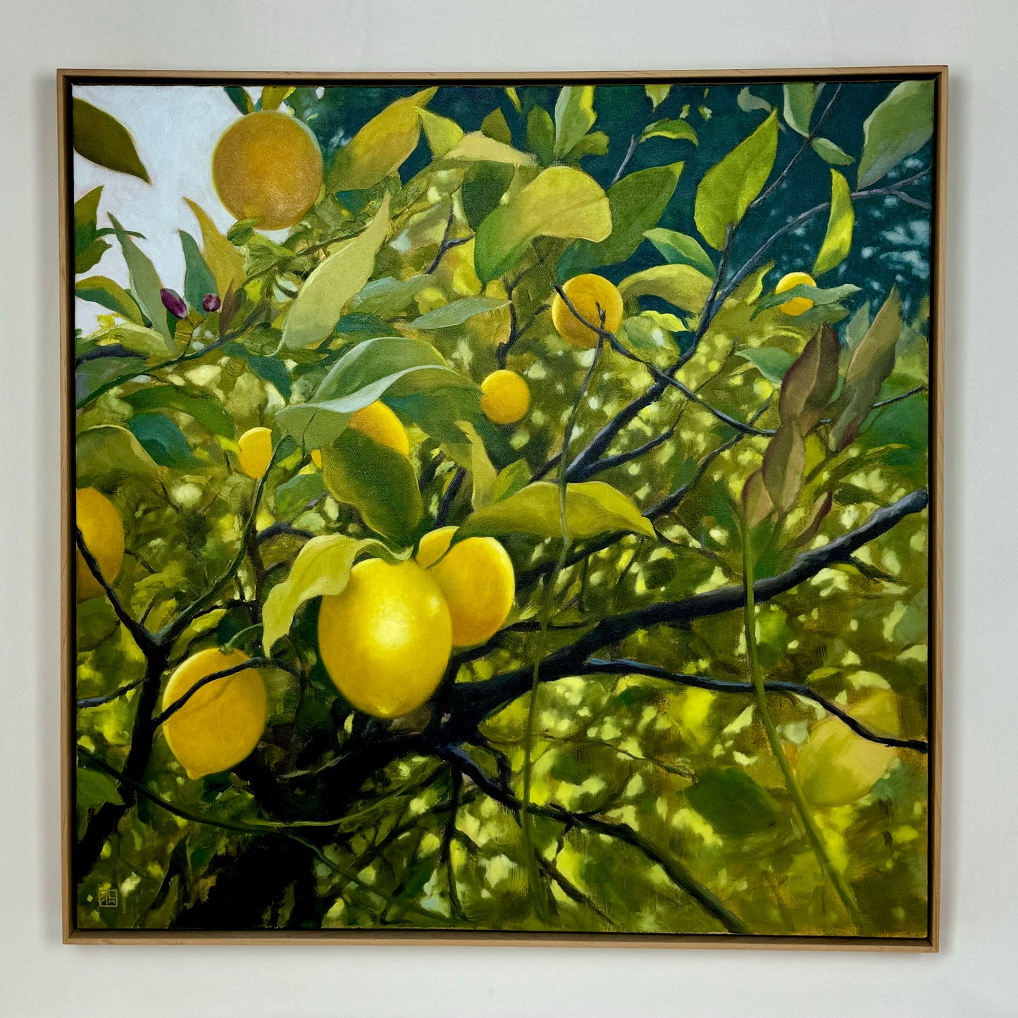 Meyer Lemons