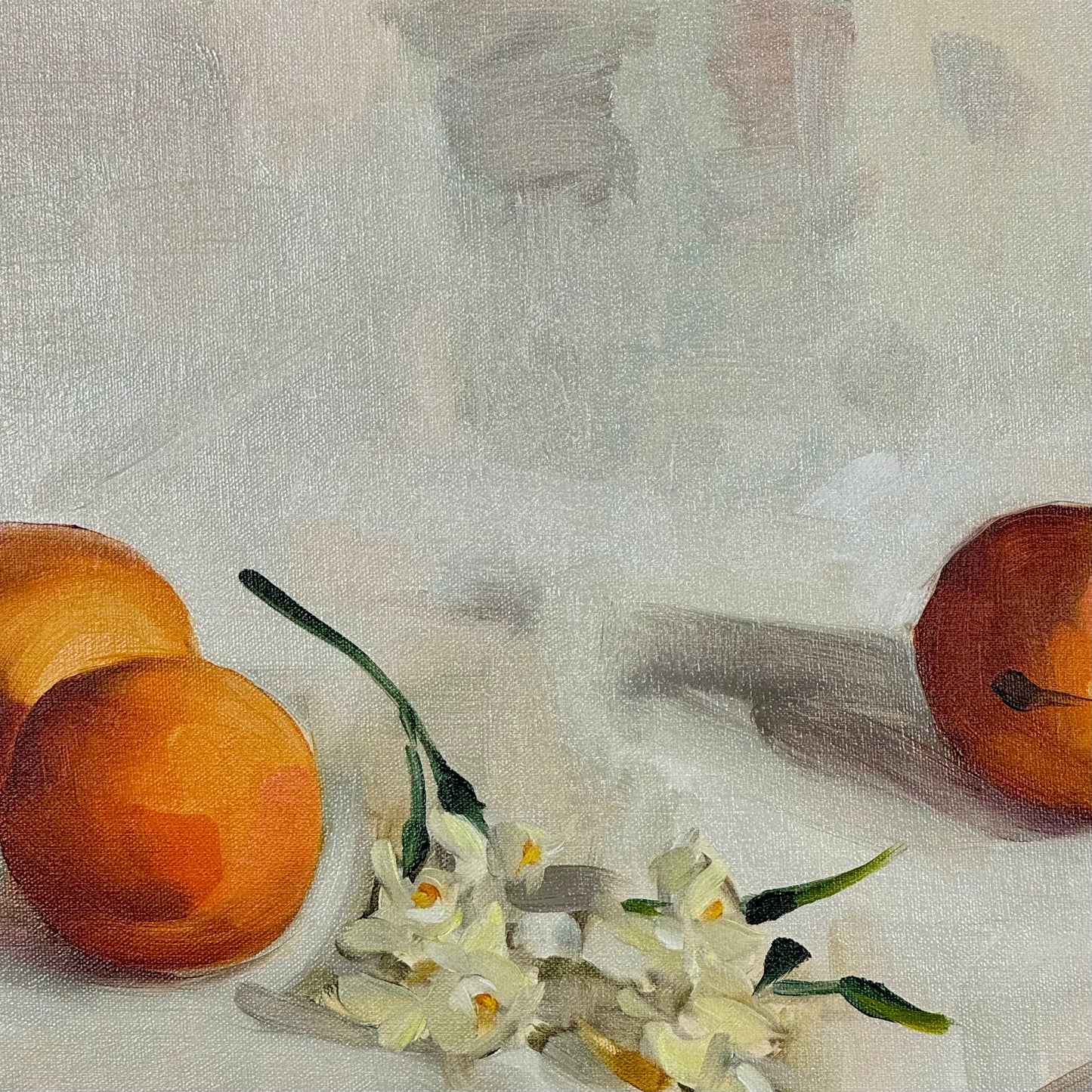 Apricots