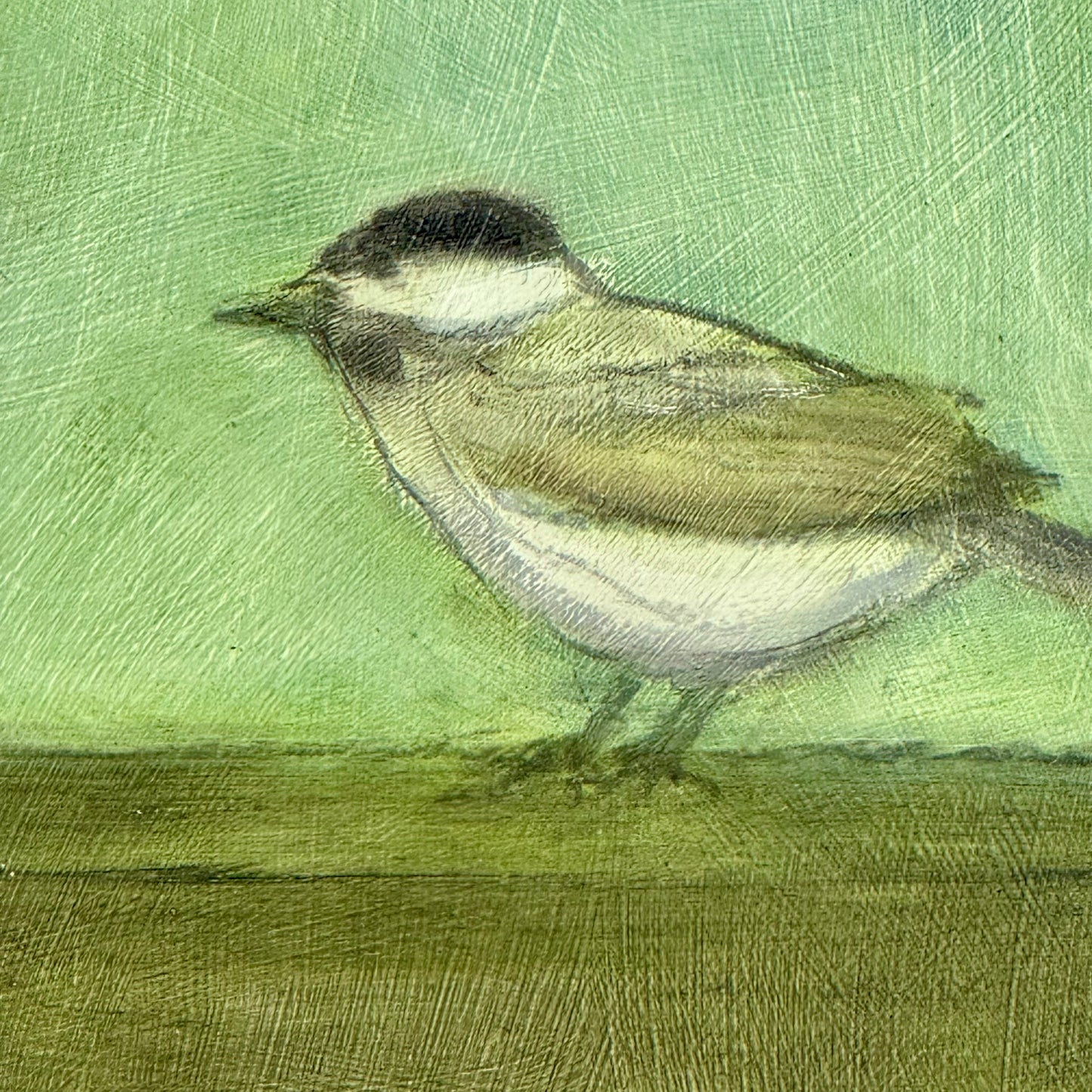 Bird on Window Sill