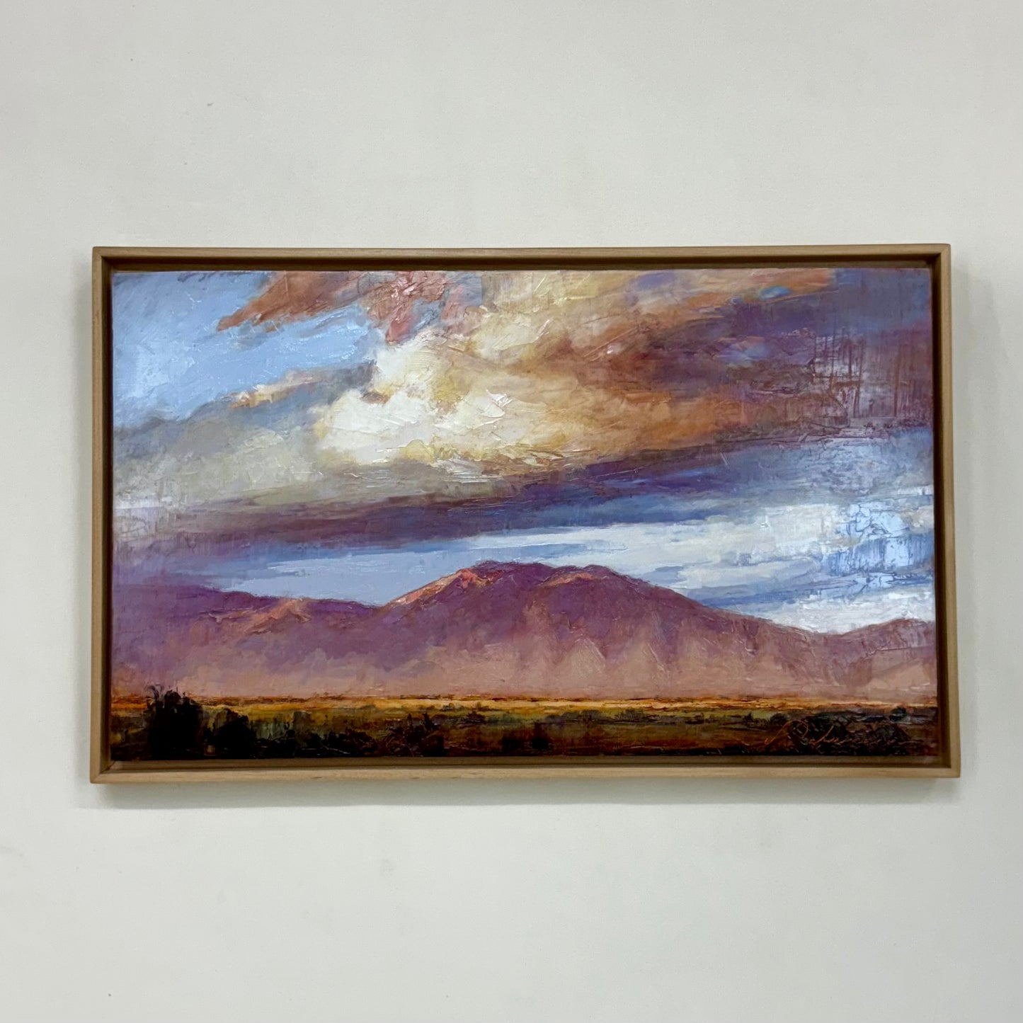 Summer Sunset Framed