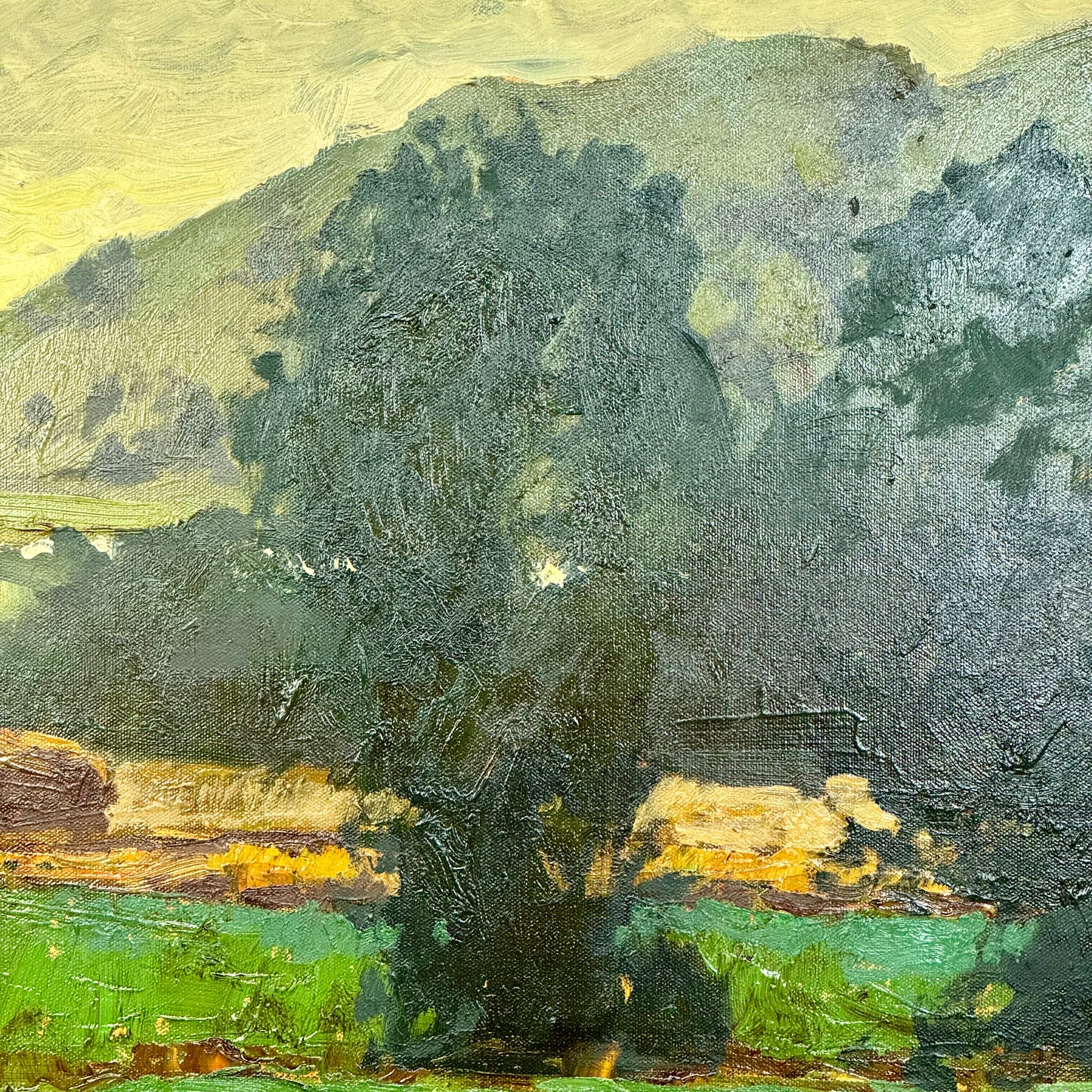 Along the Bitterroot