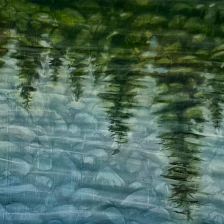 Stony Reflections