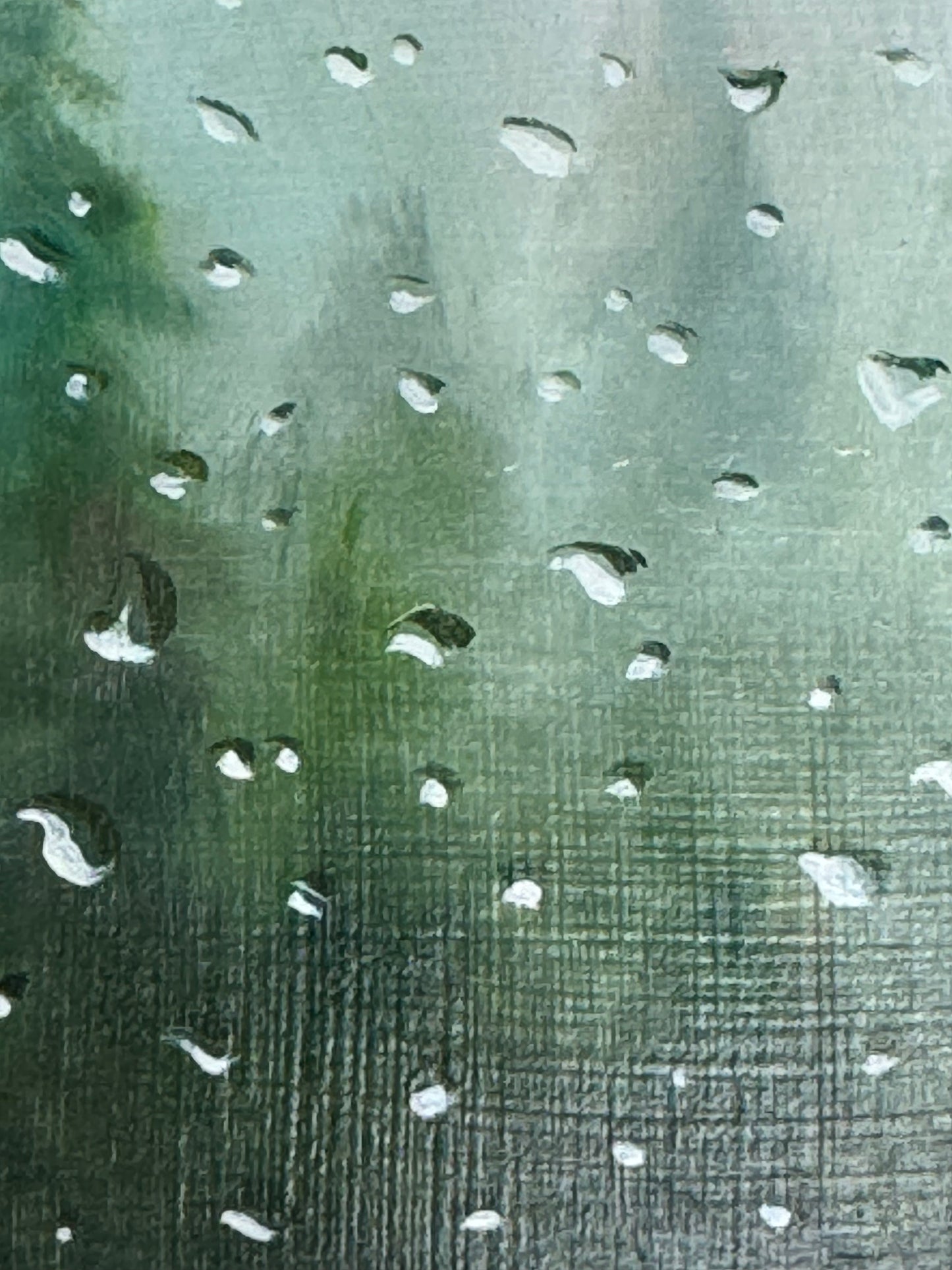 Rainy Pines 5