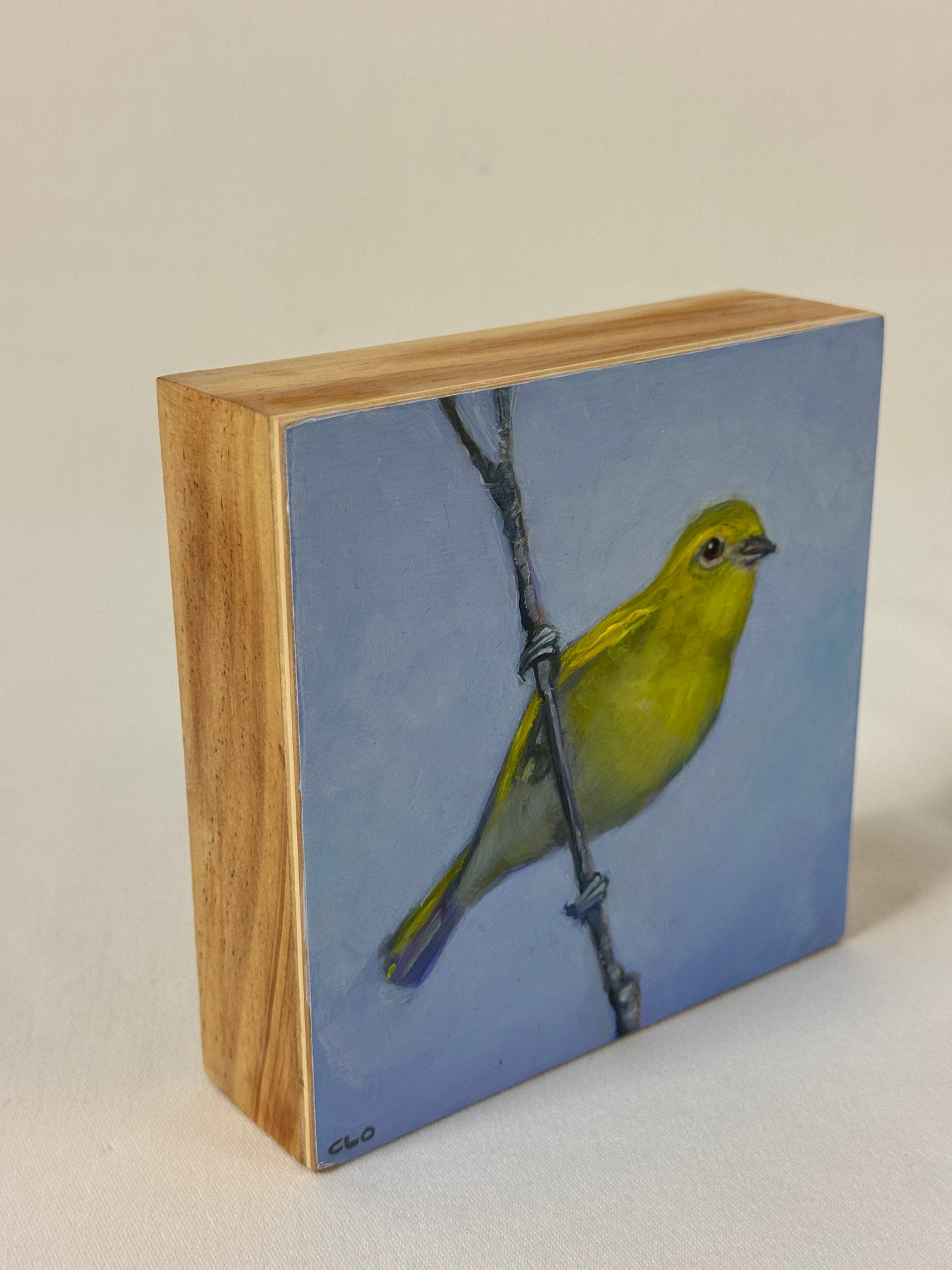 Watchful Warbler