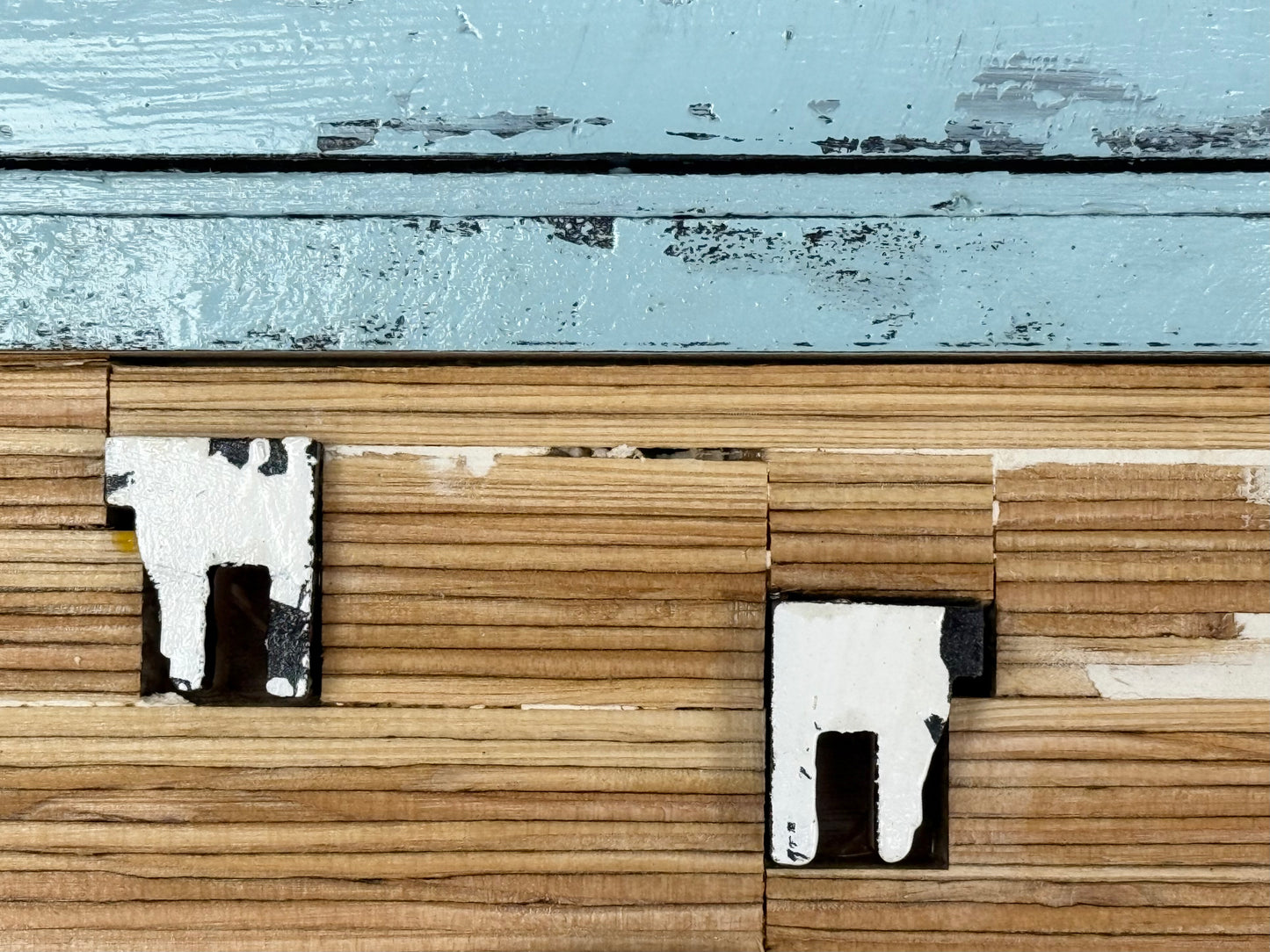 Cows in the Cupboard