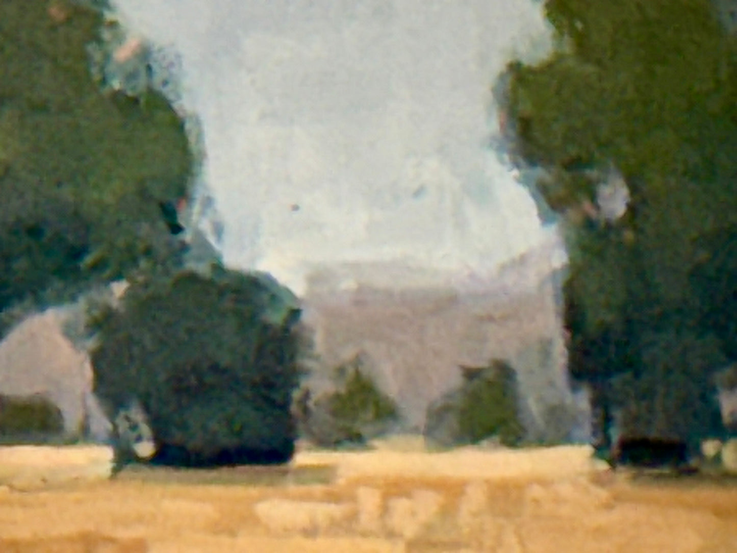 Summer Haze