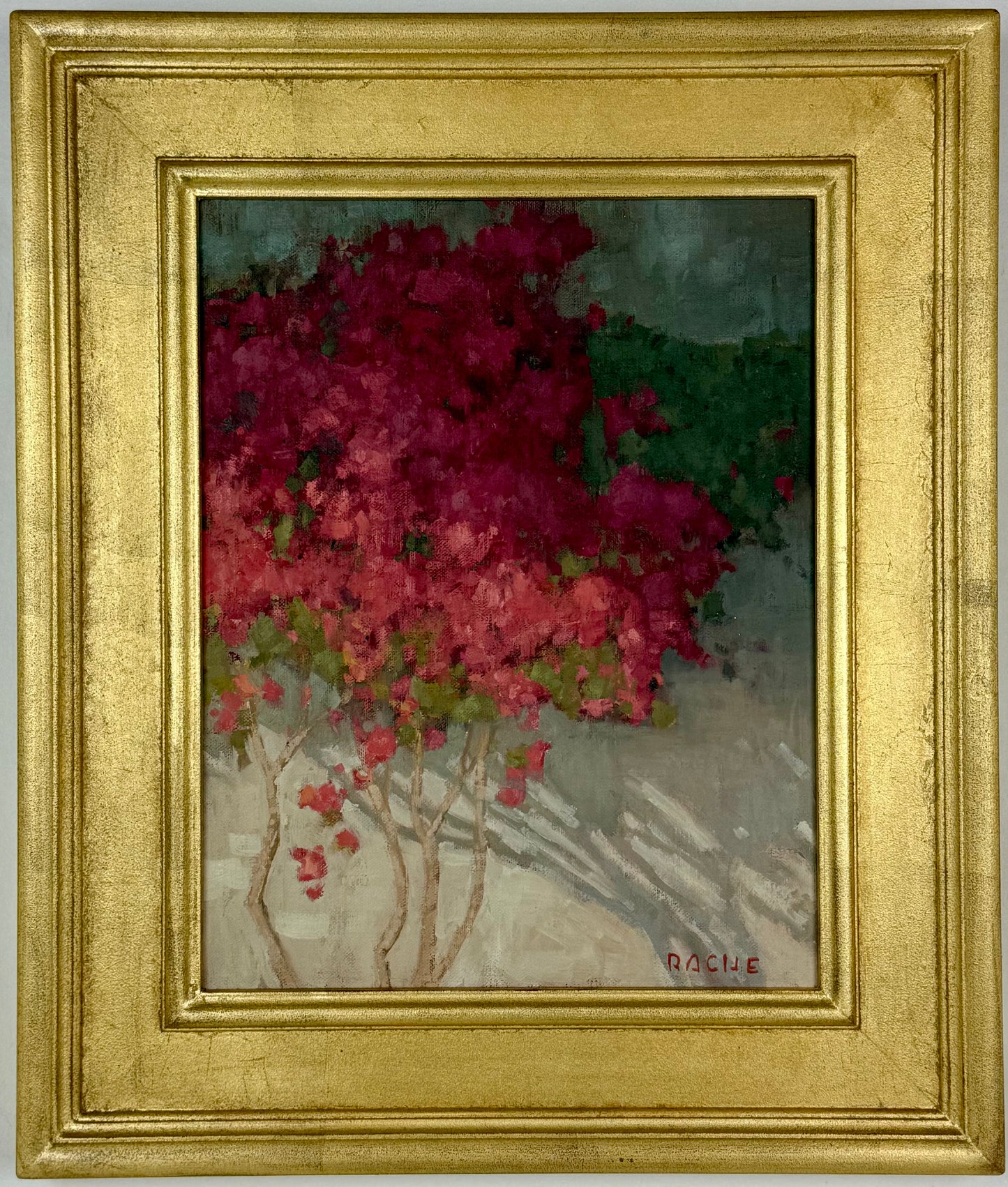 Bougainvillea Boon