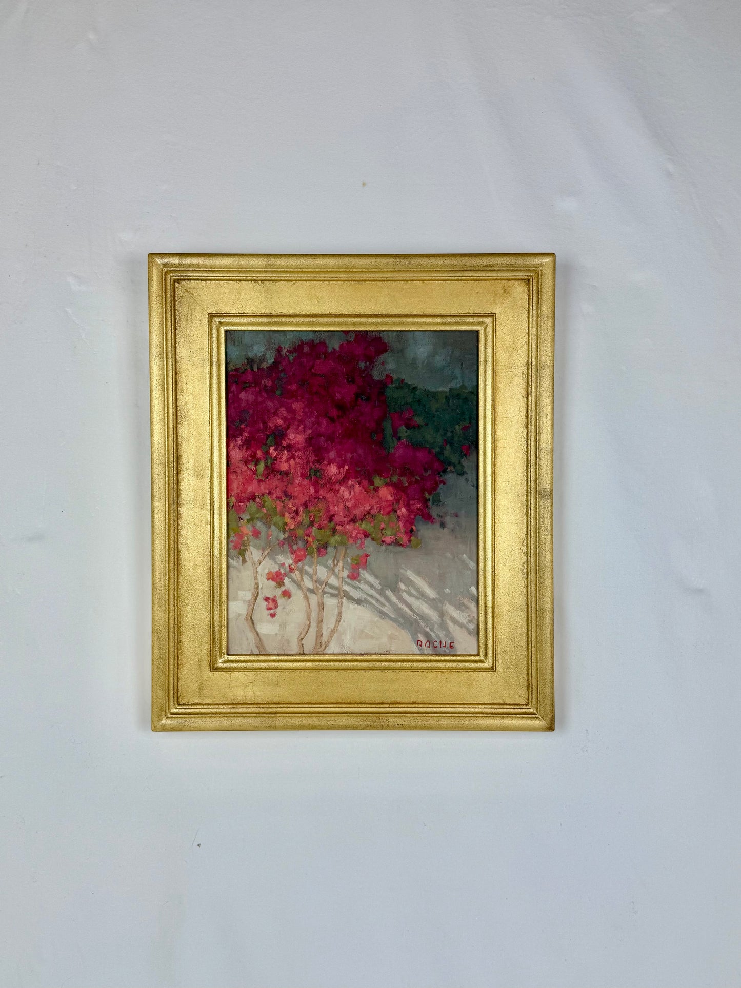 Bougainvillea Boon
