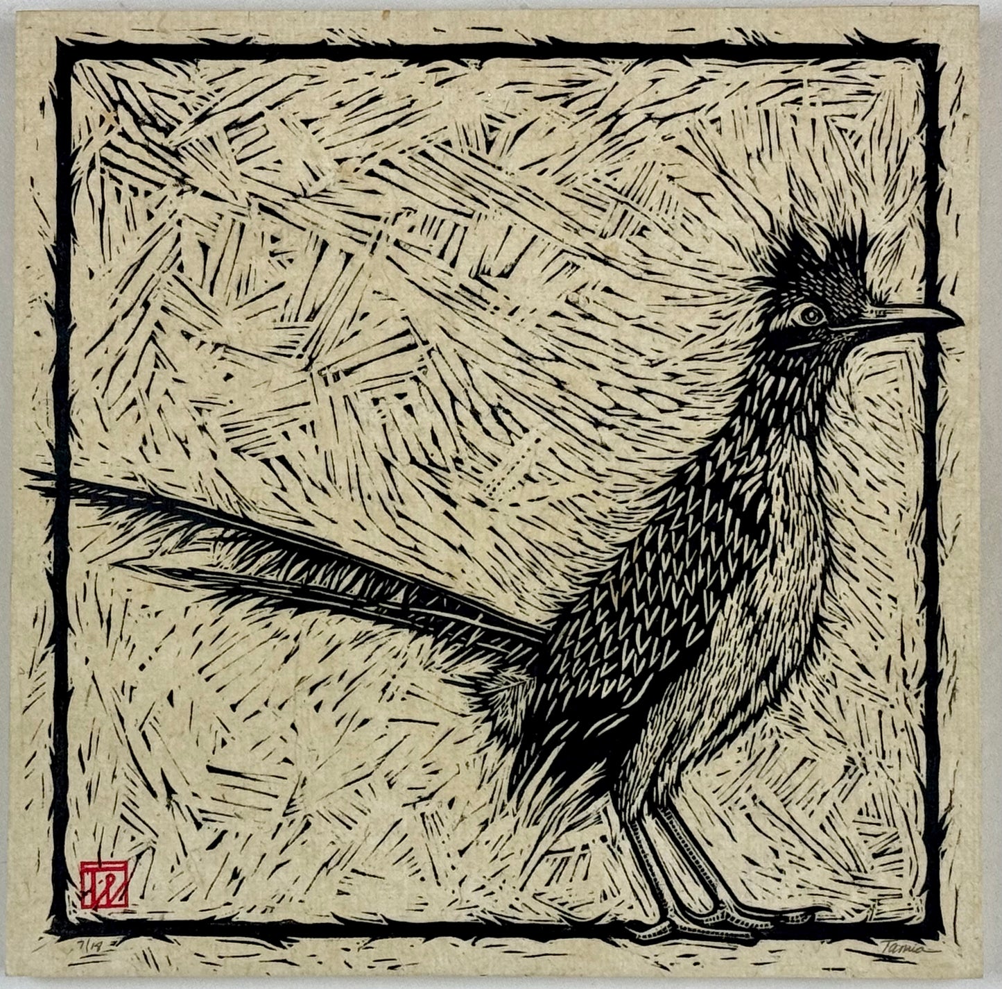 Roadrunner