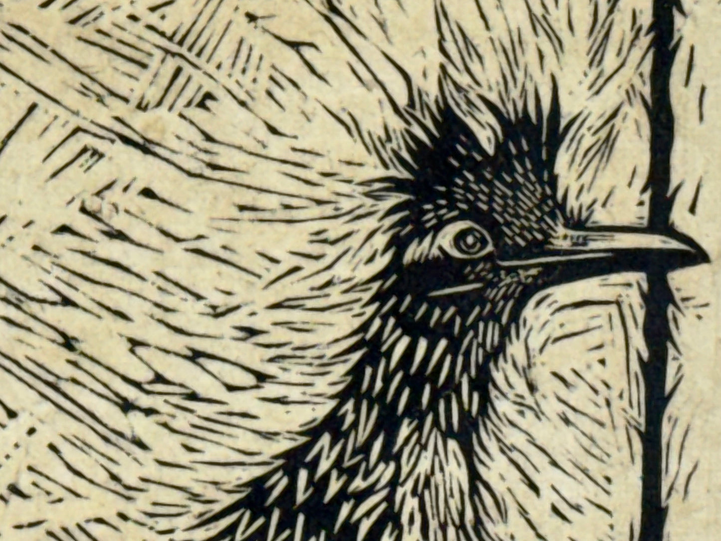 Roadrunner