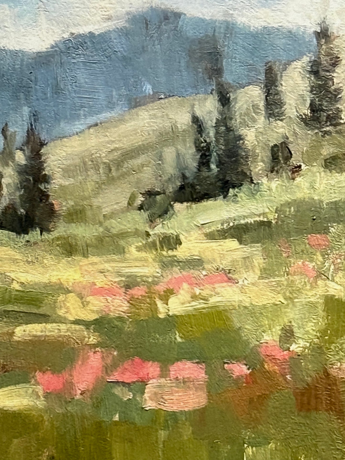 Happy Hills