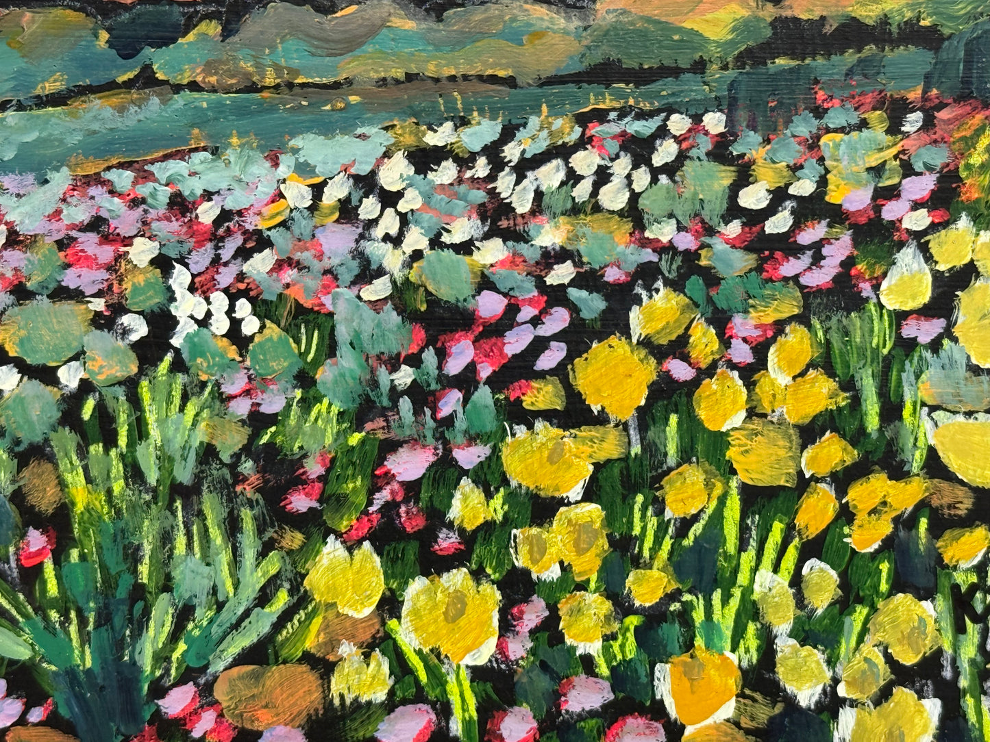 Timpanogos Meadow