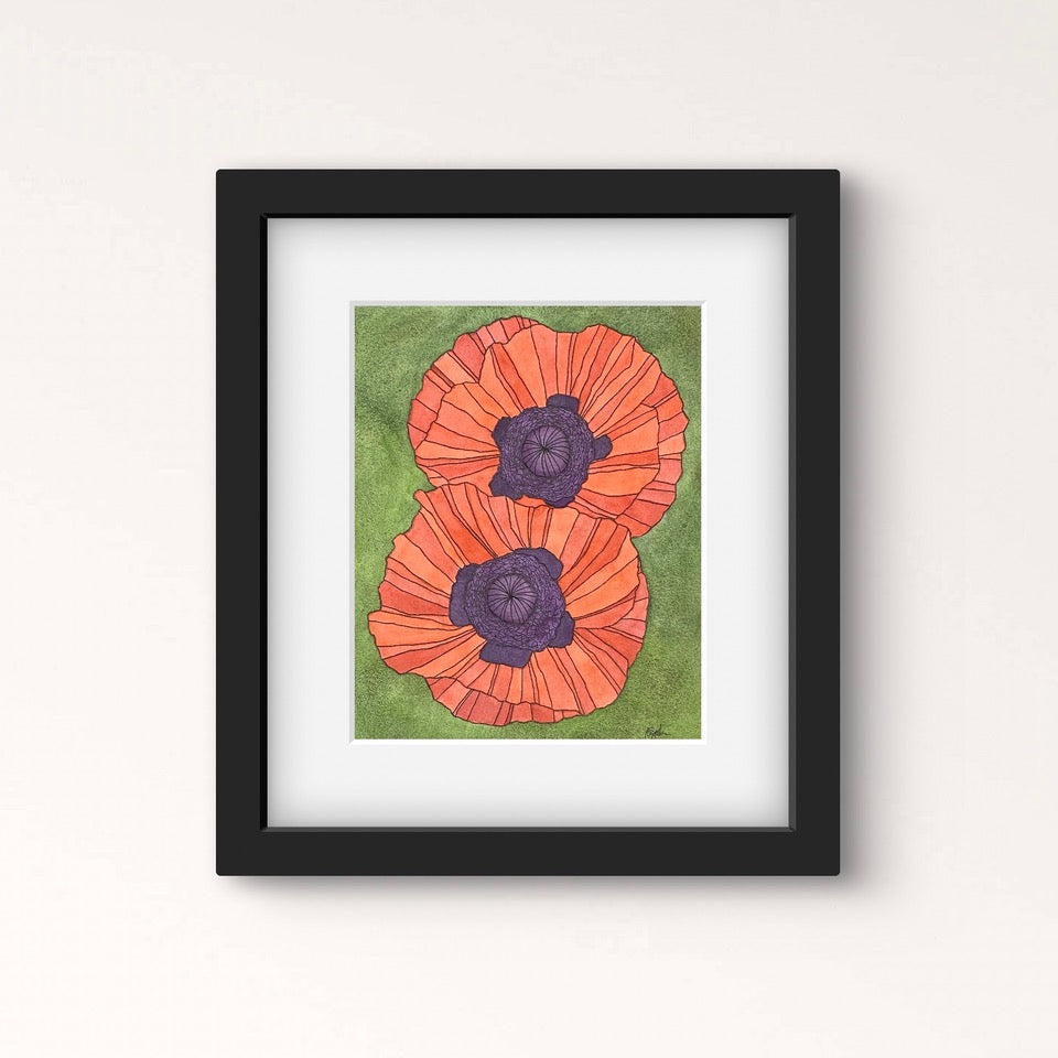 Poppy 7