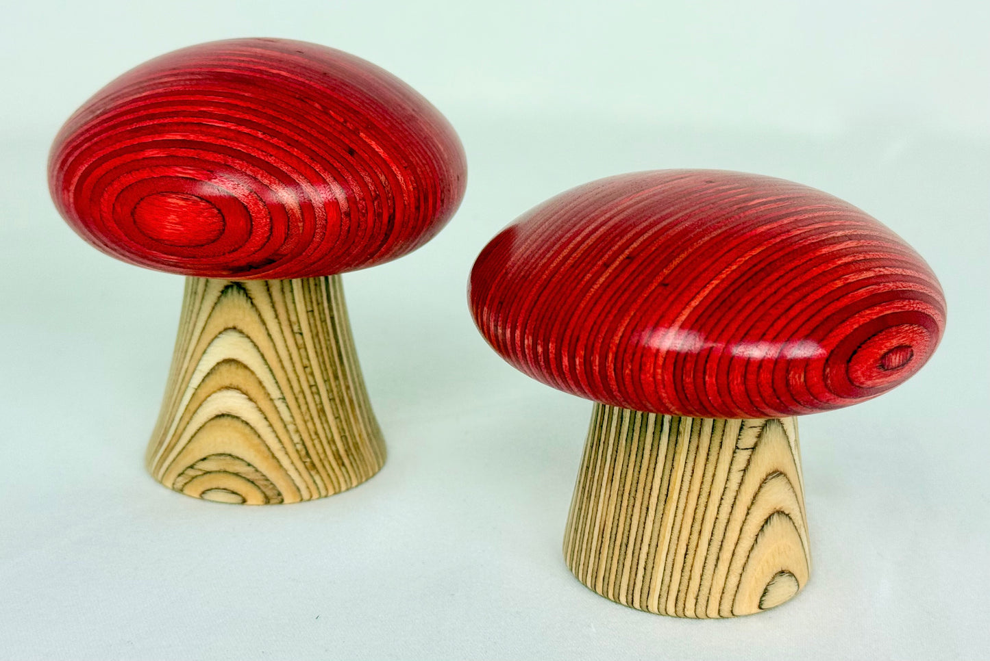 Red Cap Mushroom