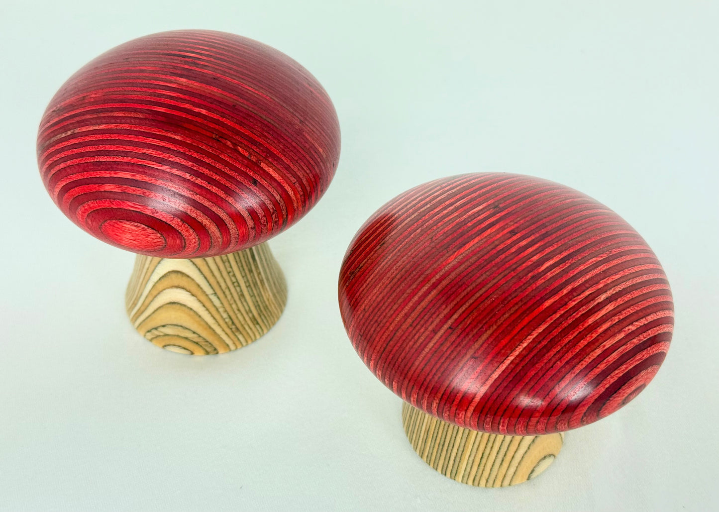 Red Cap Mushroom