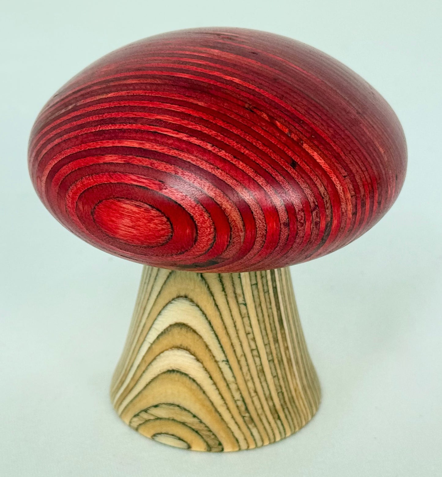 Red Cap Mushroom
