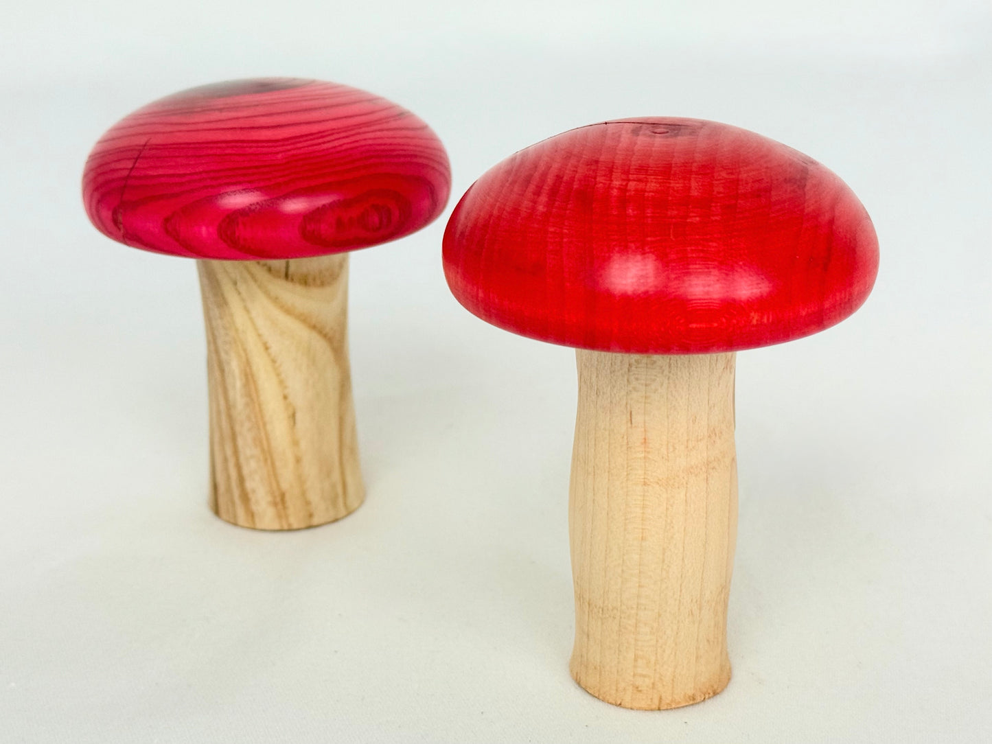 Short Red Cap Mushroom