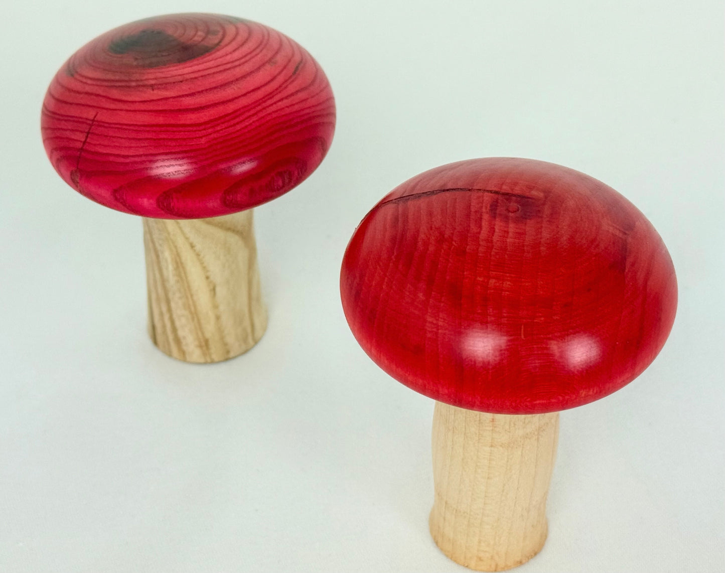 Short Red Cap Mushroom