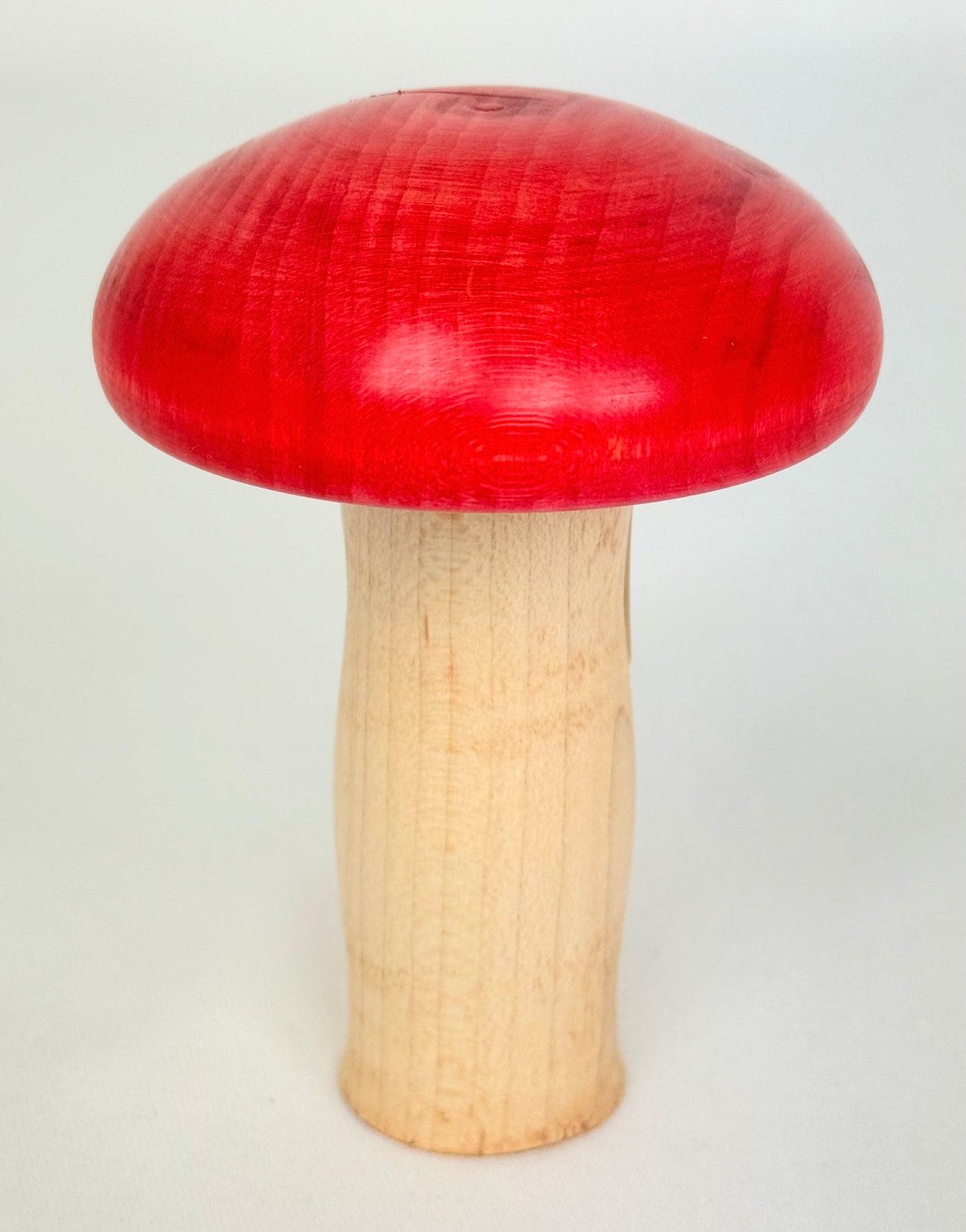 Short Red Cap Mushroom