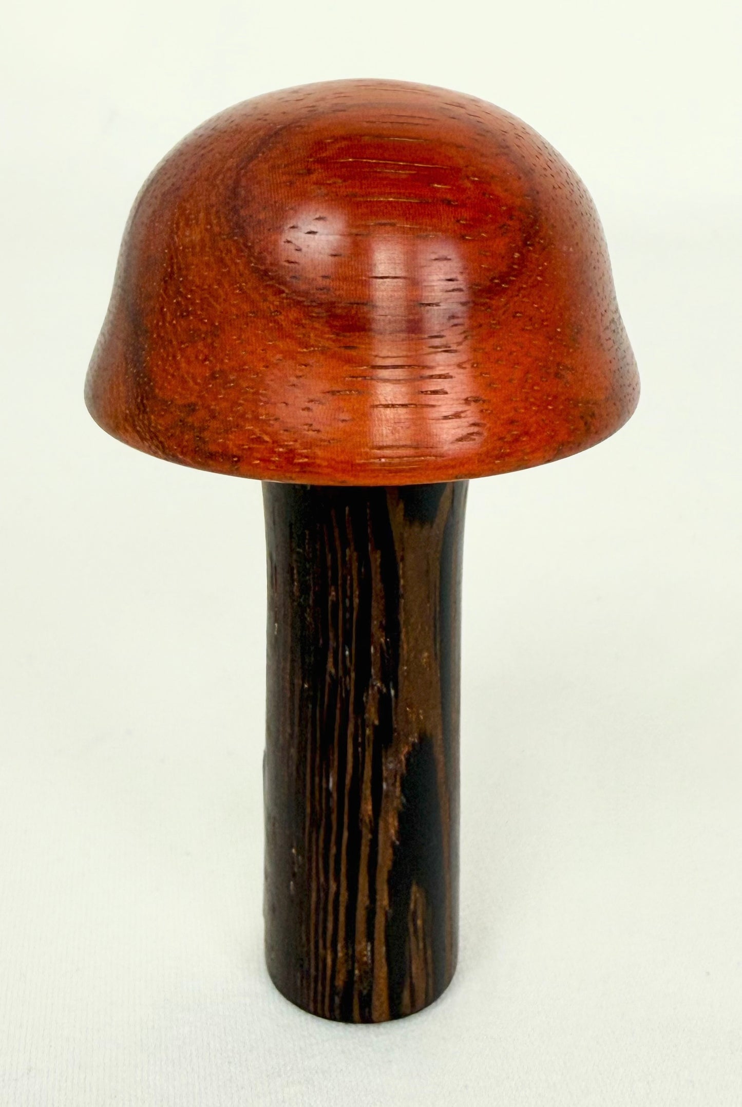 Short Brown Mushroom