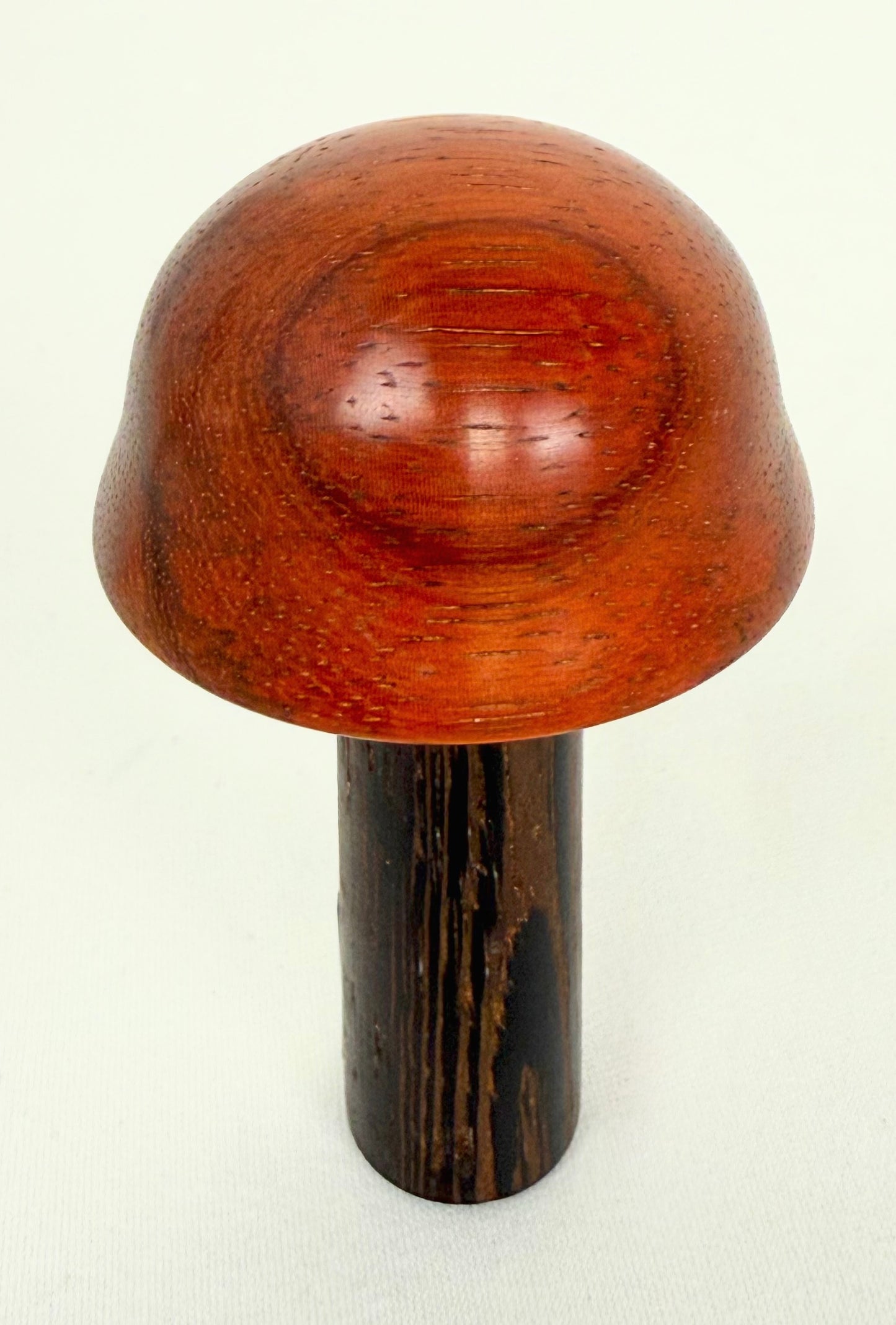 Short Brown Mushroom