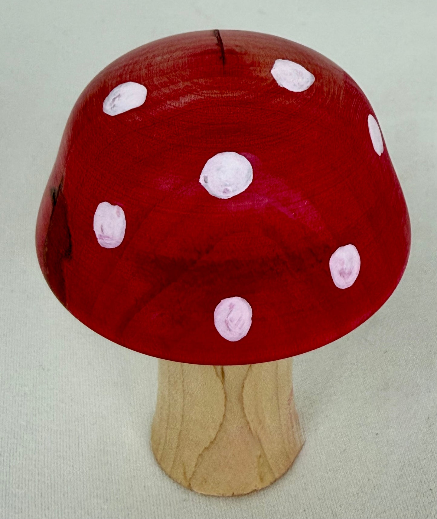 Red Cap Mushroom With Dots
