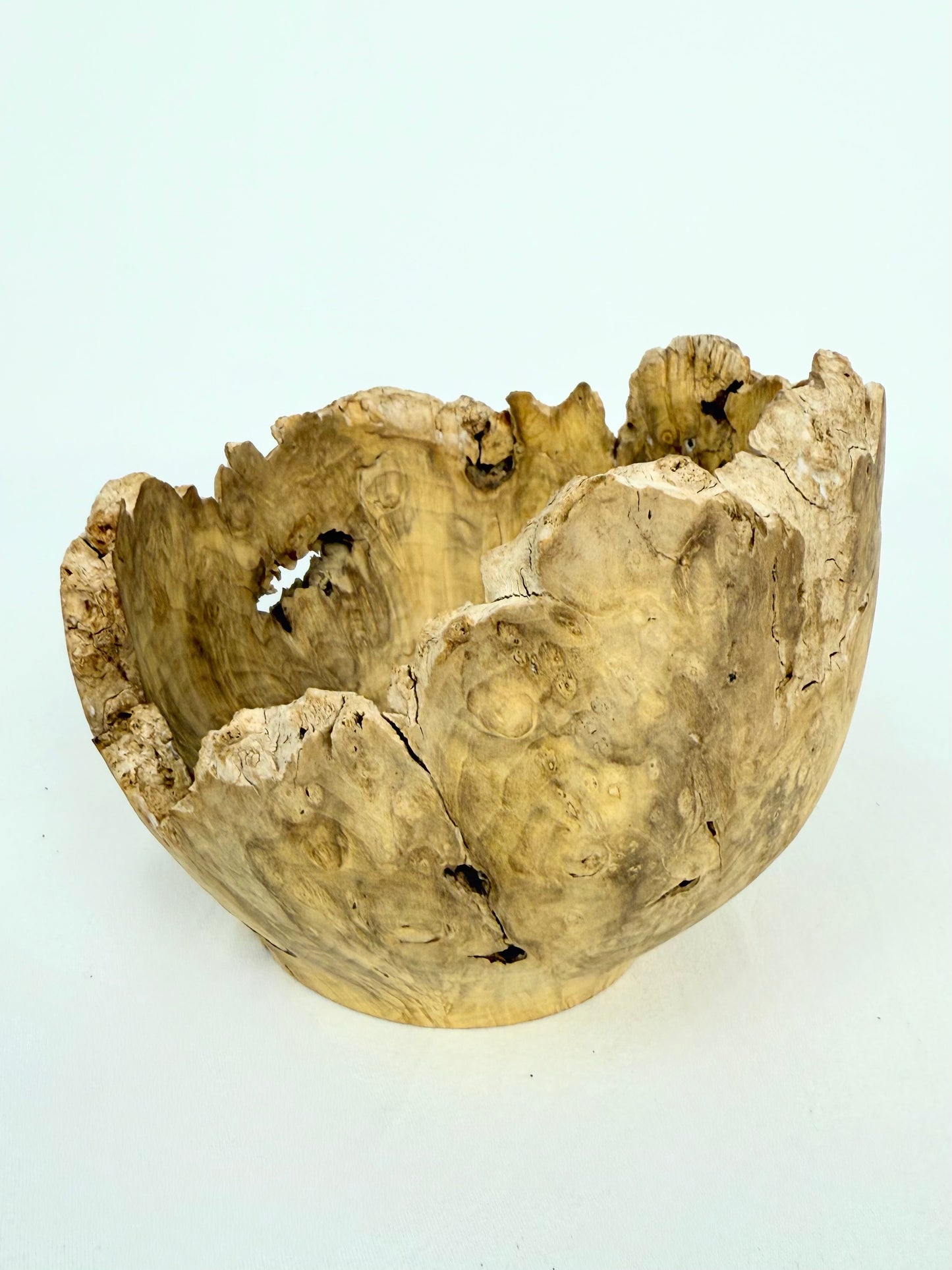 Box Elder Burl Bowl