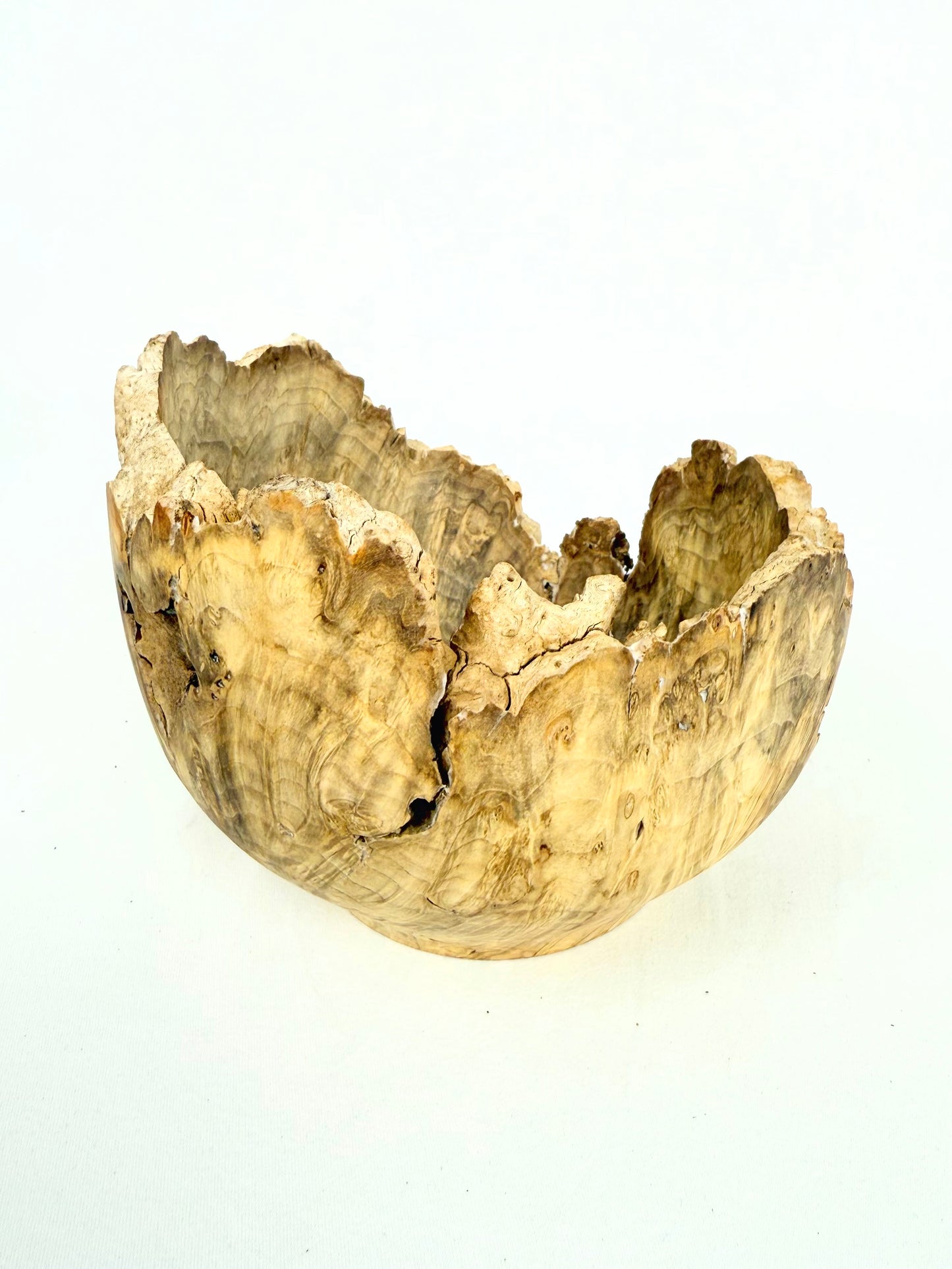 Box Elder Burl Bowl