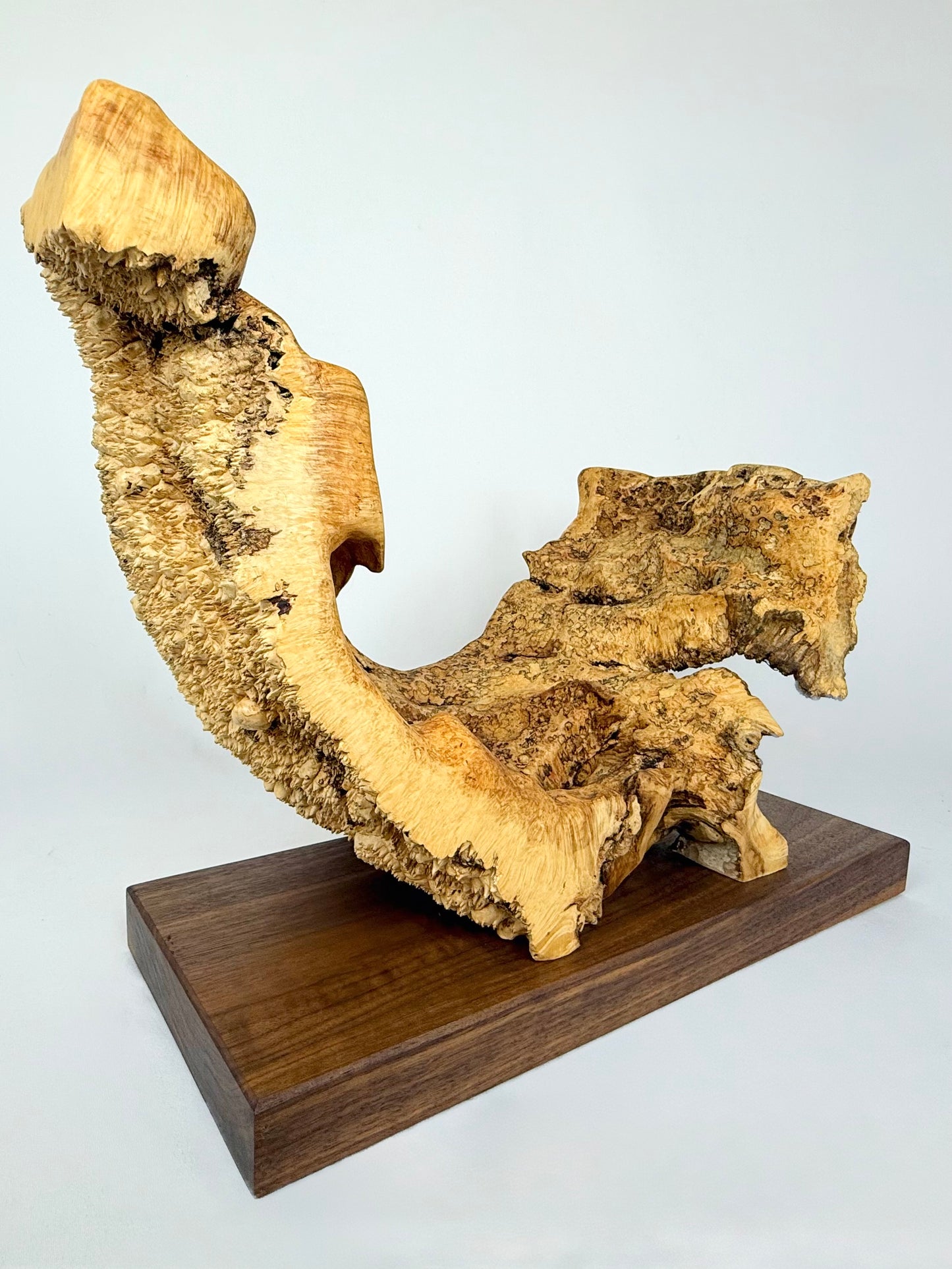 Box Elder Sculpture
