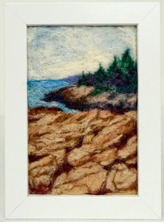 Ocean Path - Acadia Nat'l Park