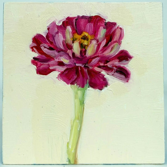 Pink Zinnia