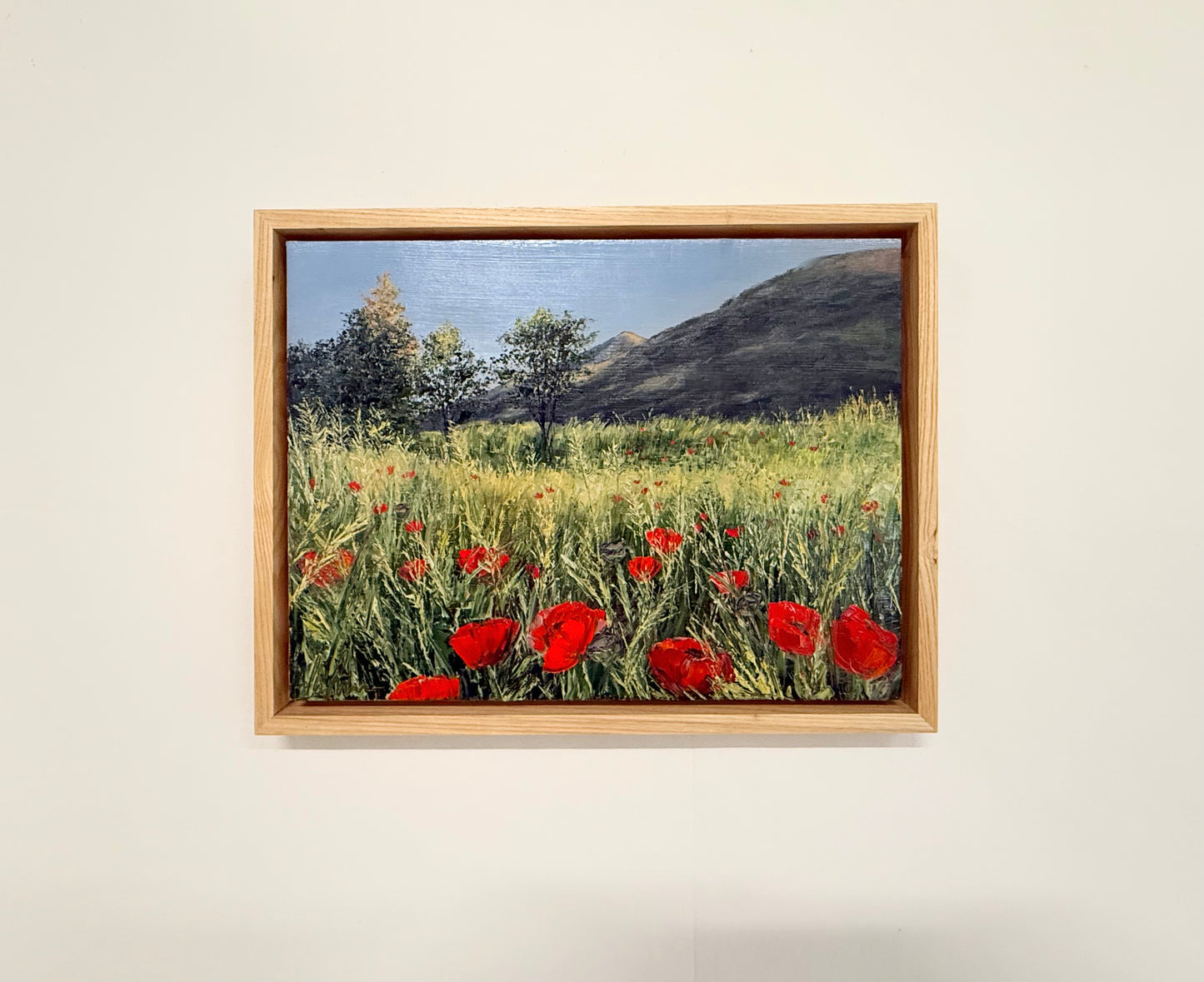 Golden Light Poppies