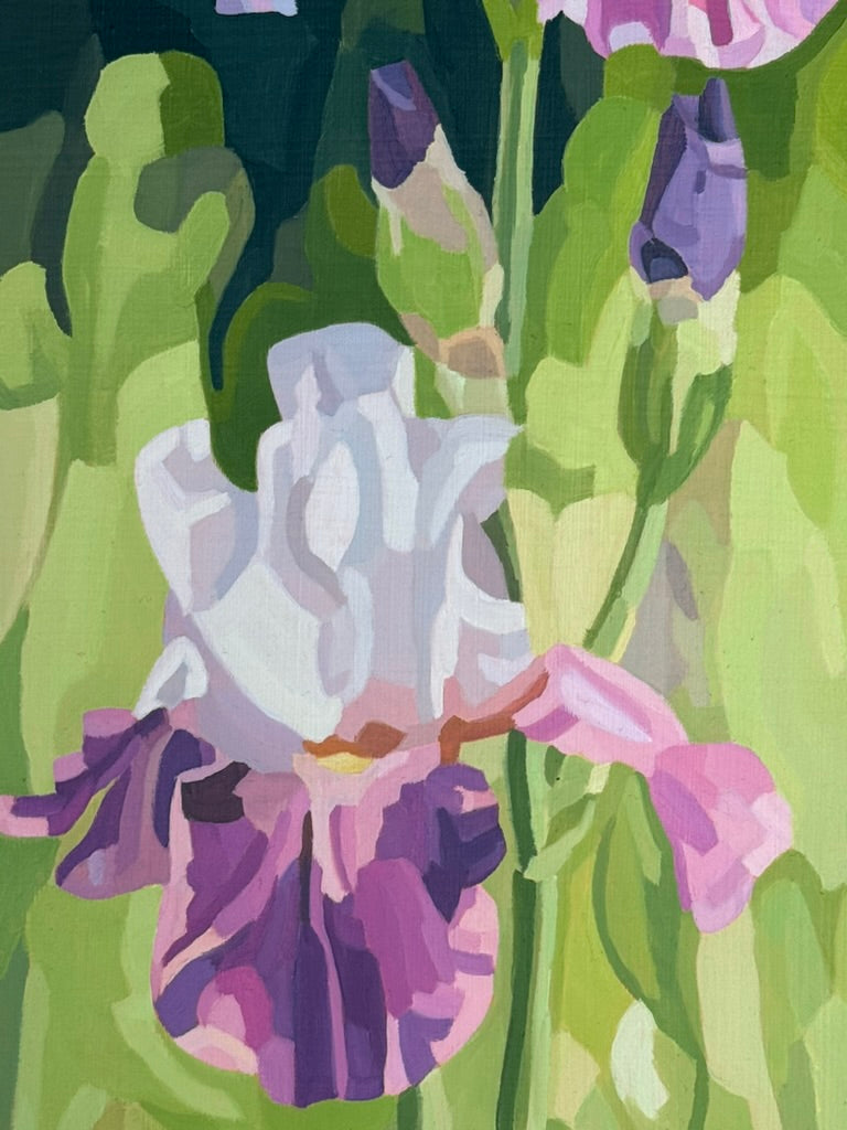 Irises in Bloom
