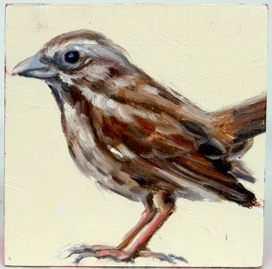 Sparrow