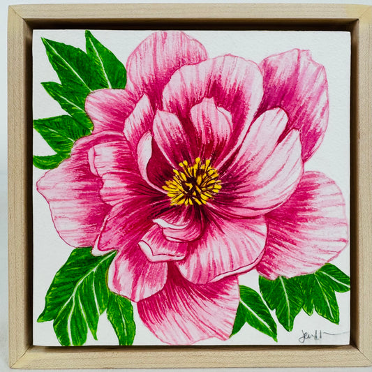 Perfect Peony