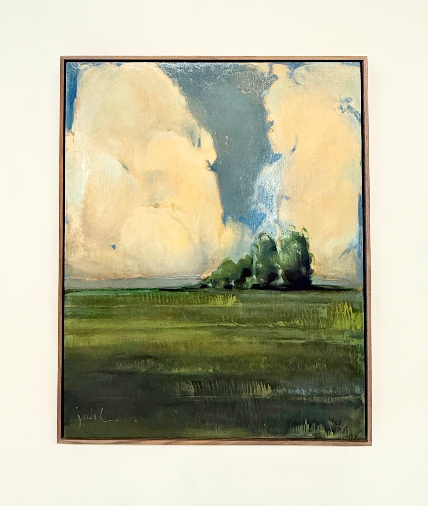 Summer Clouds