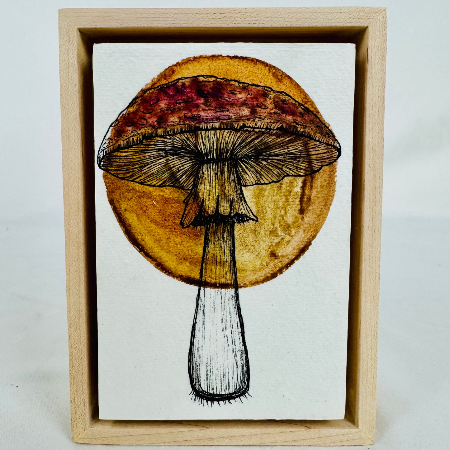 Whimsical Fungi