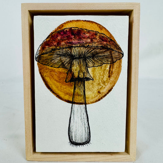 Whimsical Fungi
