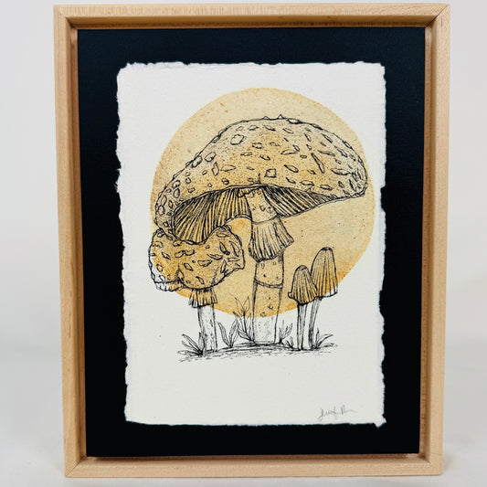 Parasol Mushroom Love